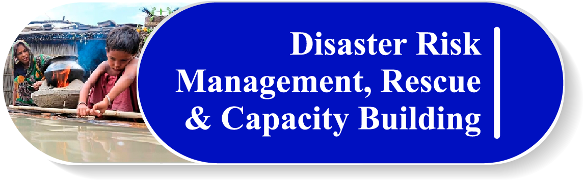 Disaster & Risk