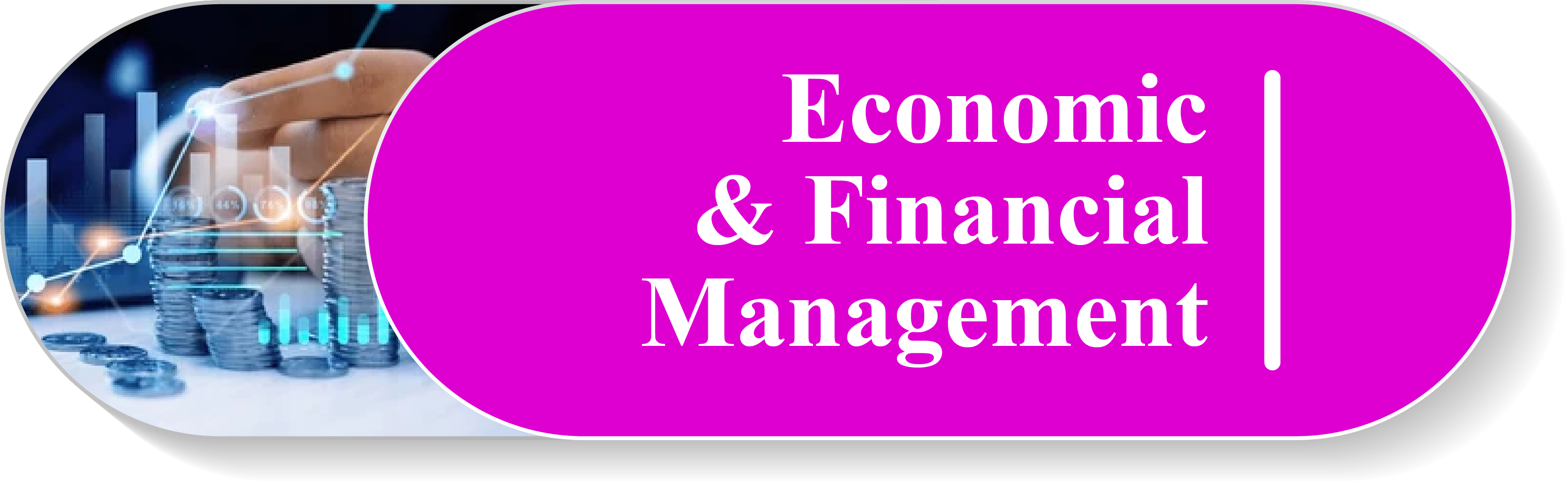 Economic & Financial Management